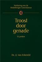 Troost door genade - J.J. van Eckeveld - ebook