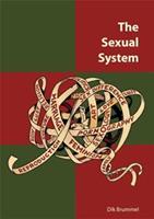 The sexual system