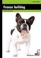 Franse bulldog