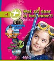 Plusleesboek E4