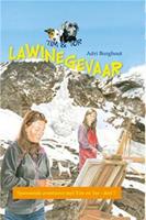   Lawinegevaar