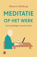 Meditatie op het werk