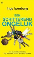 Een schitterend ongeluk