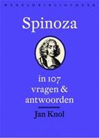 Spinoza in 107 vragen en antwoorden