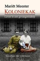   Koloniekak