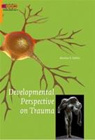 Developmental perspective on trauma - Martine Delfos - ebook