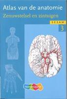 Atlas van de anatomie deel 3 Zenuwstelsel en zintuigen