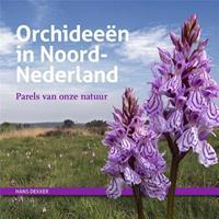 Orchideeën in Noord-Nederland