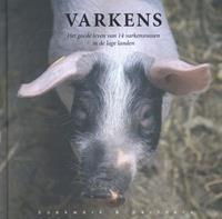 Varkens - Jinke Hesterman