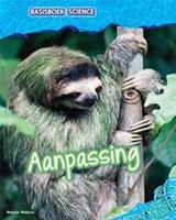   Aanpassing