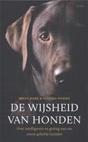 De wijsheid van de honden