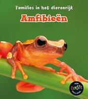   Amfibieën