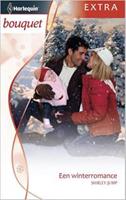 Een winterromance