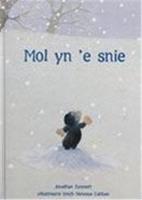 Mol yn 'e snie