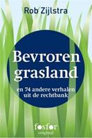 Bevroren grasland