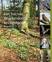 Het bos van Wijckerslooth te Oegstgeest