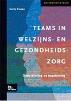 Teams in welzijns-en gezondheidszorg