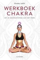 Werkboek chakra's