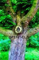   Spinsels