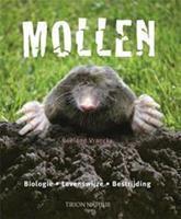   Mollen