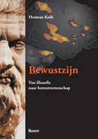 Bewustzijn - Herman Kolk - ebook