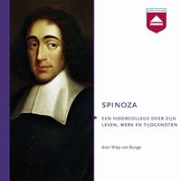 Wiep van Bunge Spinoza