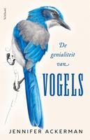 De genialiteit van vogels