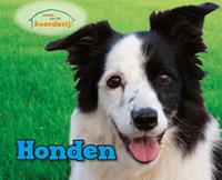   Honden