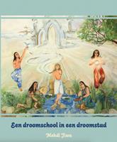 Een droomschool in een droomstad - Mehdi Jiwa