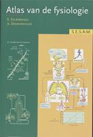 Sesam Atlas van de fysiologie