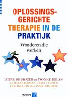 Oplossingsgerichte therapie in de praktijk