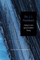 Zalig in een geschonken borg 3 - J. J. Roodsant