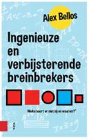 Ingenieuze en verbijsterende breinbrekers