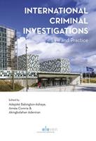 International criminal investigations