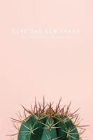 Elke dag een vraag - cactus