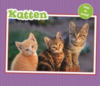   Katten