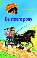 Kluitman Manege de zonnehoeve de stoere pony