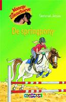 Manege de Zonnehoeve: De springpony