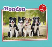 Dier in Huis: Honden - Christina Mia Gardeski