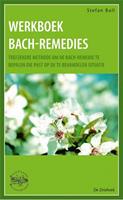 Werkboek Remedies (Boek)