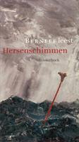 Bernlef Hersenschimmen