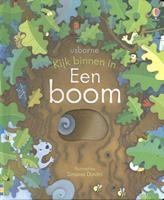 Kijk binnen in Een boom