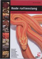 Rode rattenslang