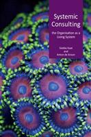 Systemic consulting