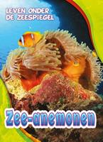   Zee-anemonen