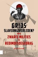 Grijs slavernijverleden? - Jeroen Dewulf - ebook