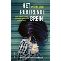 Het puberende brein