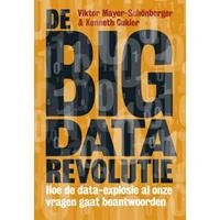 Viktormayer-schönberger De big data revolutie