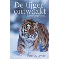 De tijger ontwaakt