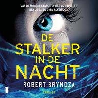 robertbryndza De stalker in de nacht